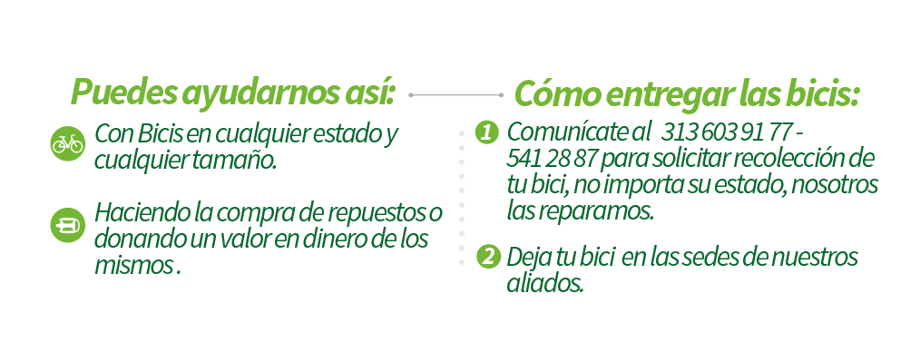 paginaMesa de trabajo 7
